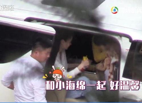 小海绵最新爆料辟谣大全,揭秘网络传闻背后的真相