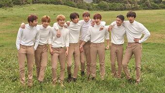 韩国私生饭最新爆料,揭秘明星私生活细节