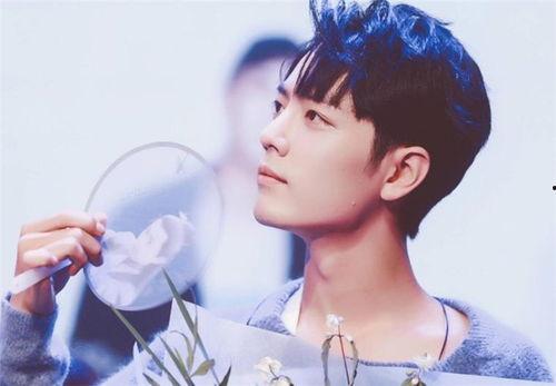 肖战李沁最新爆料,揭秘幕后故事，甜蜜互动引粉丝热议