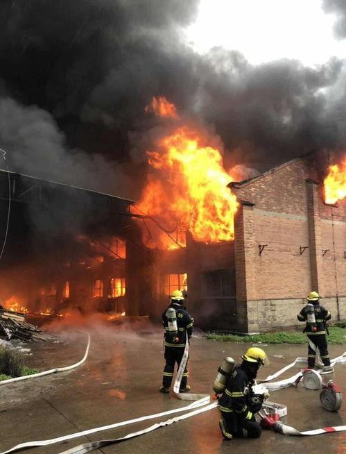 丰台火灾爆料视频最新消息新闻,视频爆料揭示惊人细节，救援行动紧张进行中